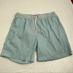 Surf and Swim Co turquoise blue and white striped swim trunks